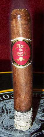 Flor de Cesar Red Label - 7